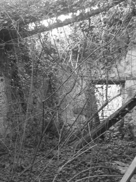 15. dans la ruine .15