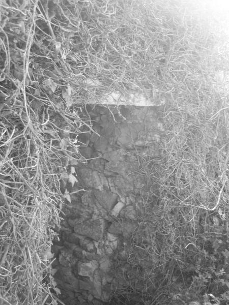 13. entrons dans une ruine .13