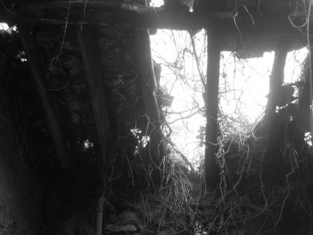 14. le toit de la ruine .14