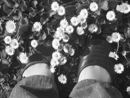 12. balerines dans les paquerettes .12