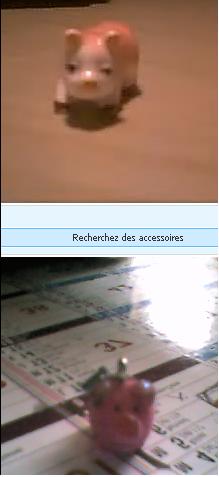 Pour la vie !!!